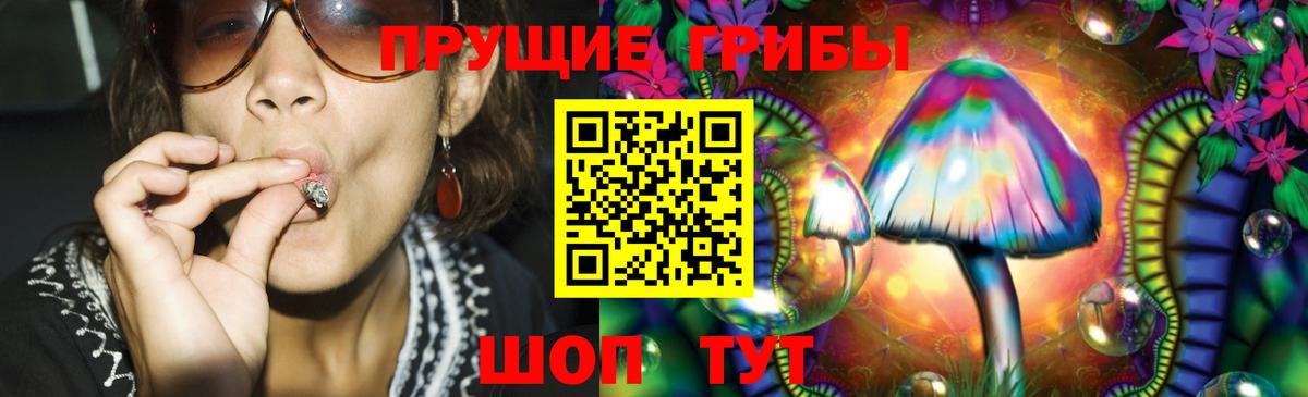 Тихвин  Псилоцибиновые грибы GOLDEN TEACHER  Вход с VPN 